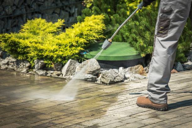 Best Heavy Equipment Washing  in Forest Heights, TX