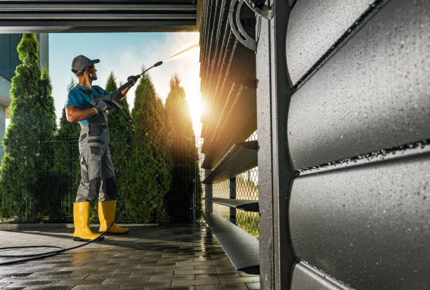 Best Soft Washing  in Forest Heights, TX