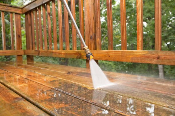 Best Gutter Cleaning  in Forest Heights, TX