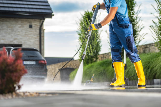 Best Driveway Pressure Washing  in Forest Heights, TX